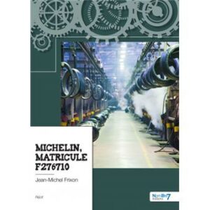 Michelin-matricule-F276710-300x300 Michelin, matricule F276710